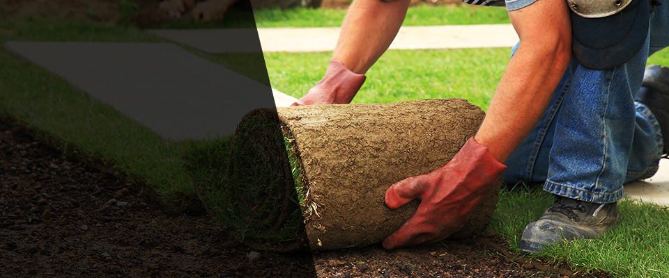 Honey Brook Landscapers